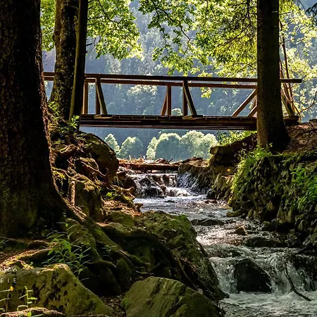 דירה - App 3413 - Jakob - Mit Indoorpool,