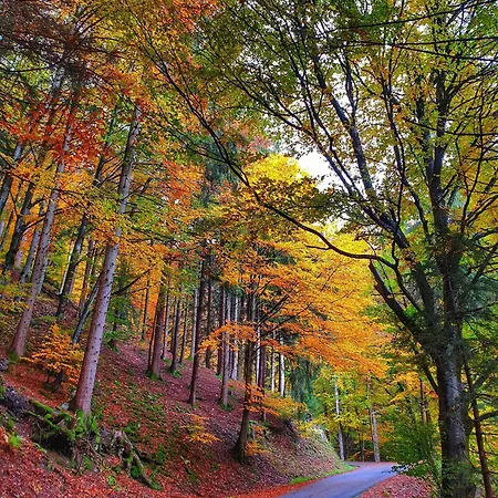 - App 3413 - Jakob - Mit Indoorpool, דירה שלוכזי